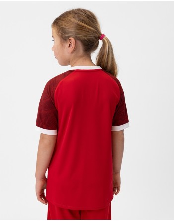 Trikot Iconic KA / Polyester-Interlock